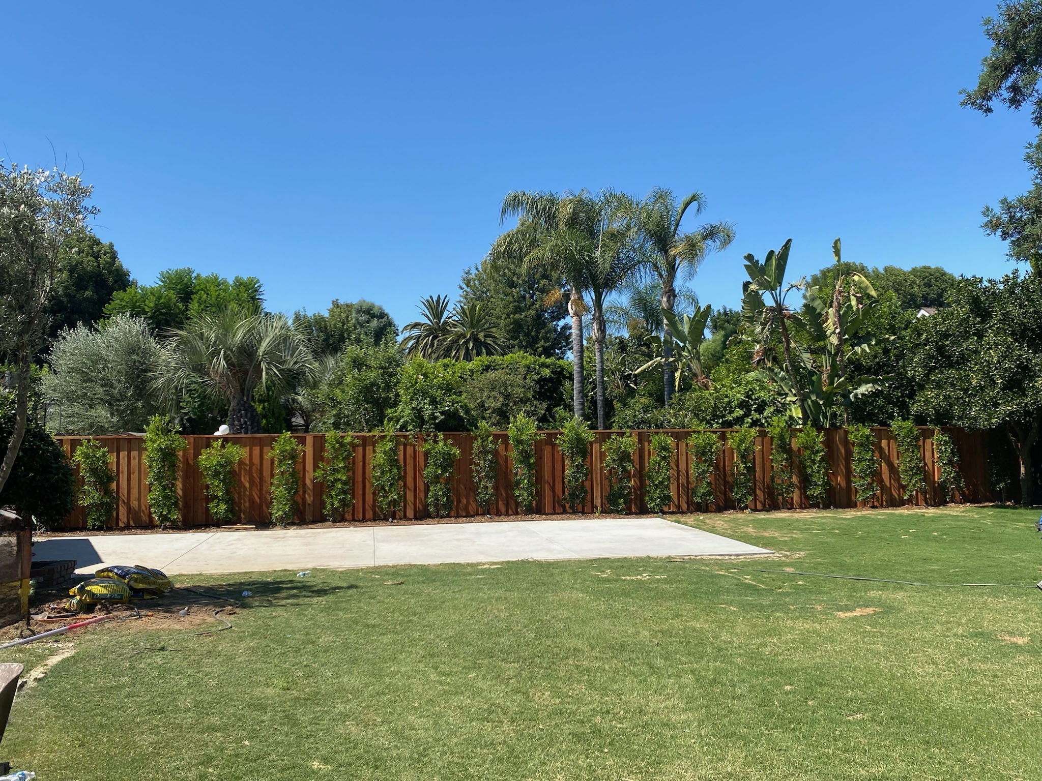 Privacy Fencing - Image 4