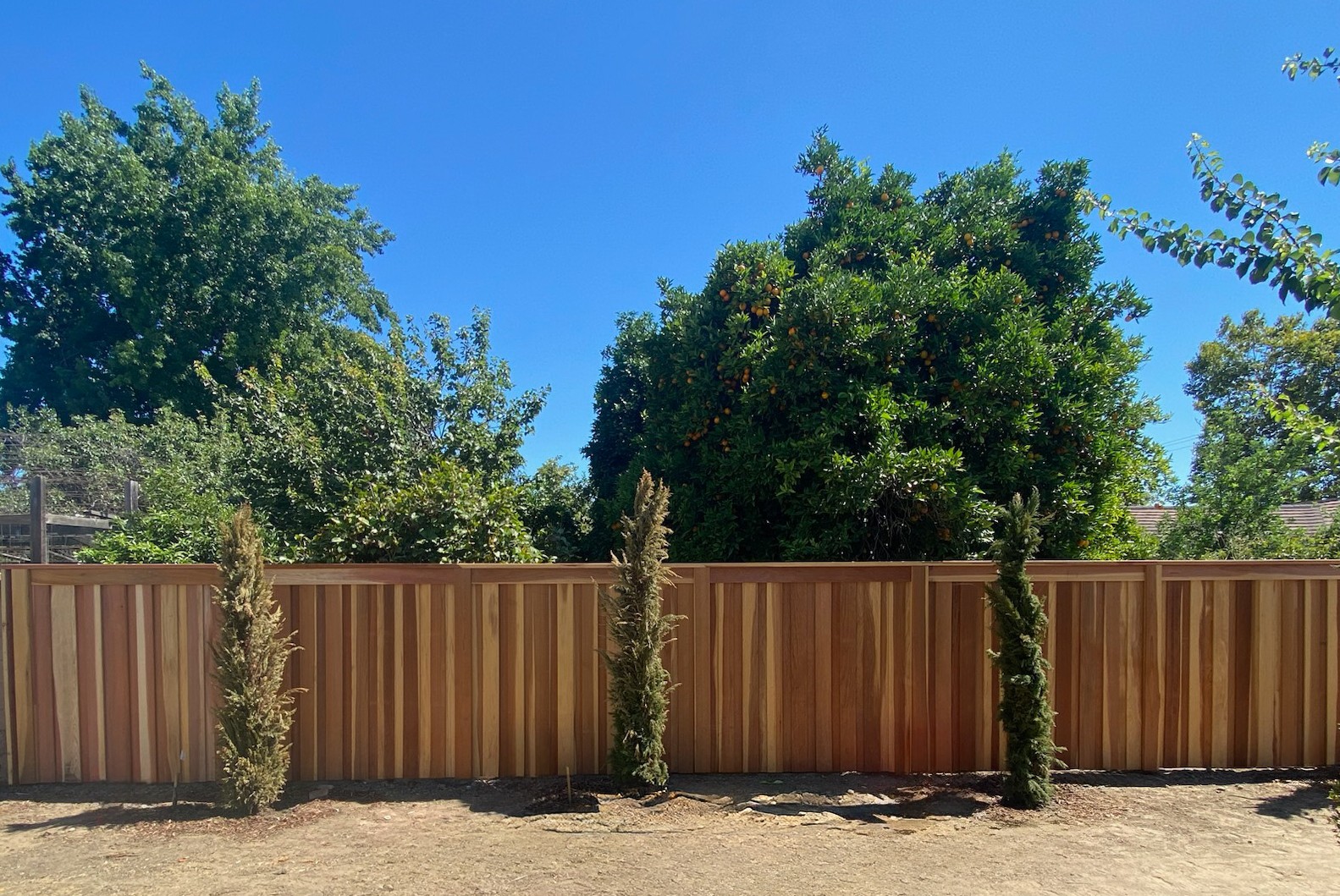 Privacy Fencing